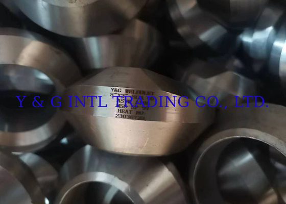Fittings de conexión de bridas roscadas de acero inoxidable y bridas de lámina de tubo, incluidas las bridas LF